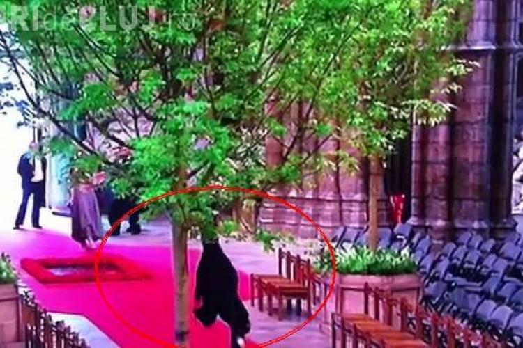 Un preot a facut roata tiganului la finalul nuntii regale, chiar in Westminster Abey! VIDEO