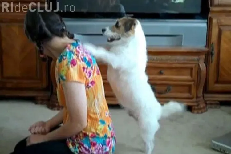 Jesse, cainele care face totul in casa ca o gospodina - VIDEO