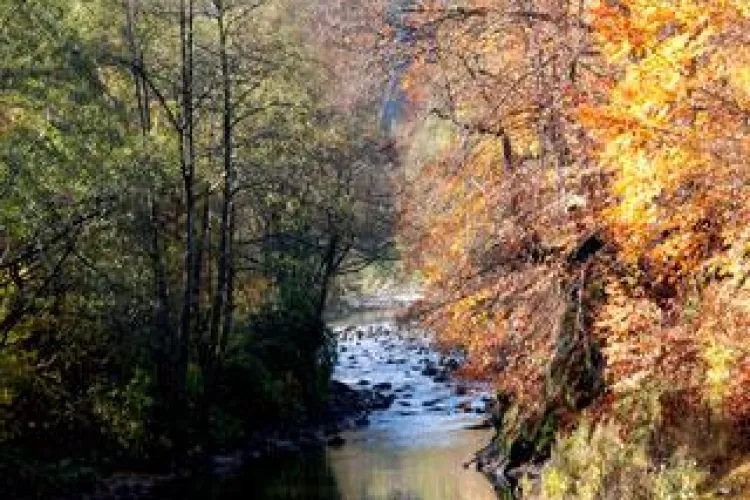 Incepe Campionatul national de pescuit cu musca artificiala, la Bratca-Suncuius