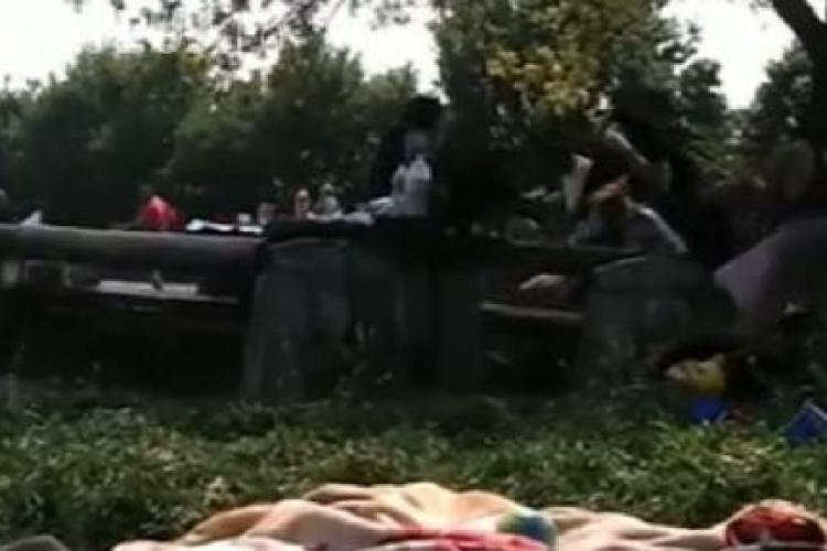 Soc in Viena! Zeci de romani s-au batut la gratar in parc, in ziua de Paste - VIDEO