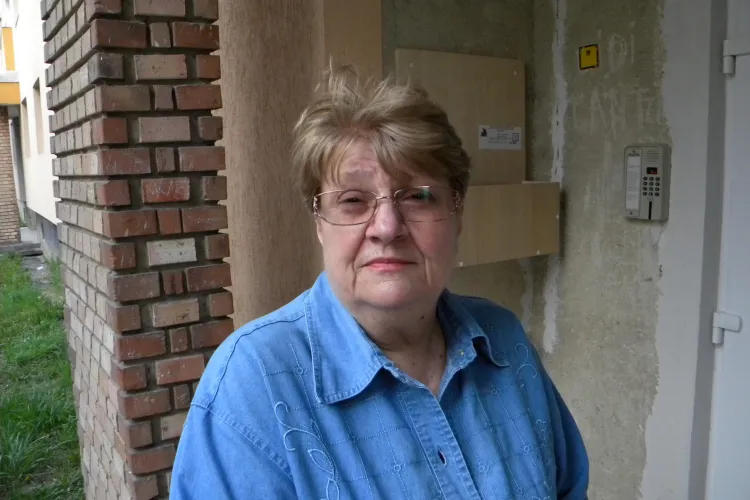 Interviu cu "mama FNI" despre SOV si Catalin Popa: "Vantu e slab acum, iar Popa il poate infunda" - VIDEO