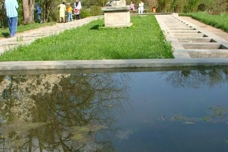 Tinerii pot intra gratuit la Gradina Botanica in 2 mai, de Ziua Tineretului