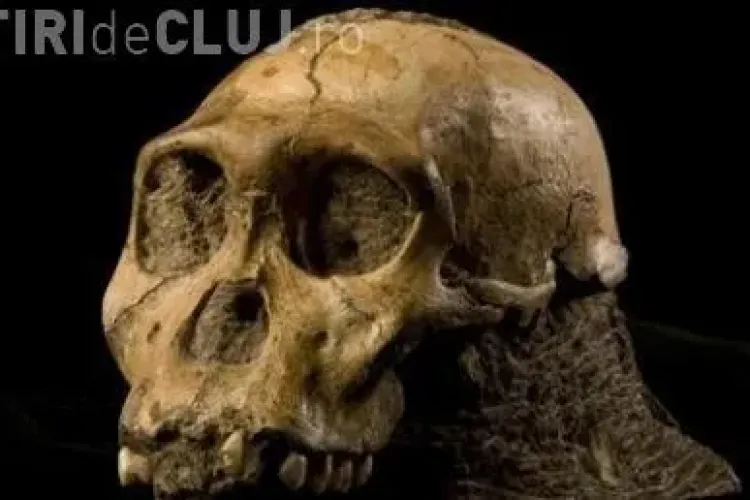 A fost descoperita o noua specie de oameni!