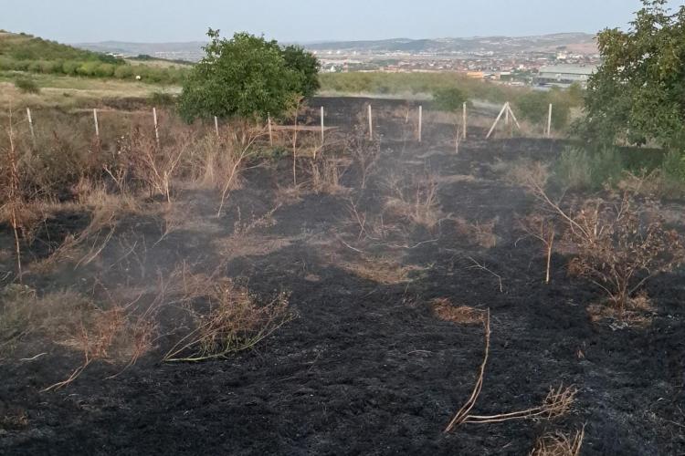 Incendiu pe Bulevardul Muncii din Cluj-Napoca! Două hectare de pământ au fost mistuite de flăcări