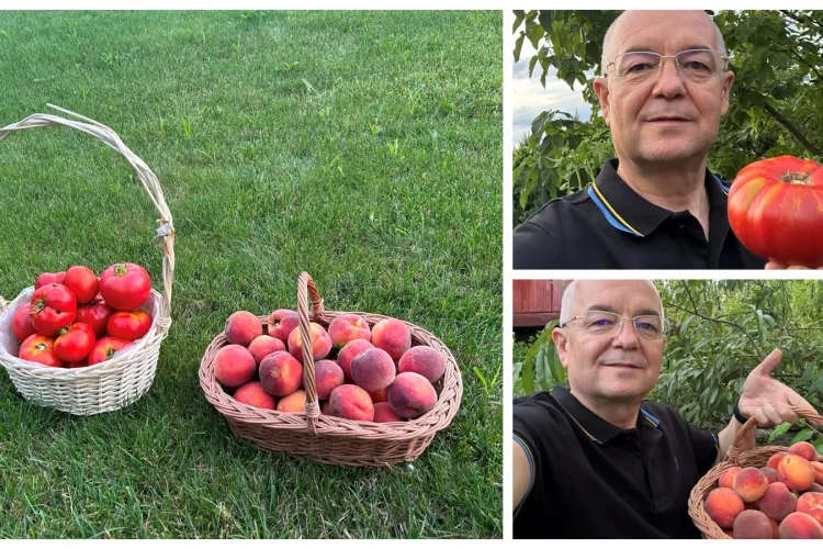 Emil Boc a devenit agricultor de Apahida. Primarul și-a prezentat cu mândrie recolta - FOTO