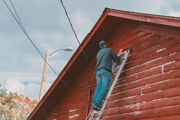 Trei români au păcălit un austriac prin ,,metoda acoperișul”. Câți bani au obținut ,,muncitorii”