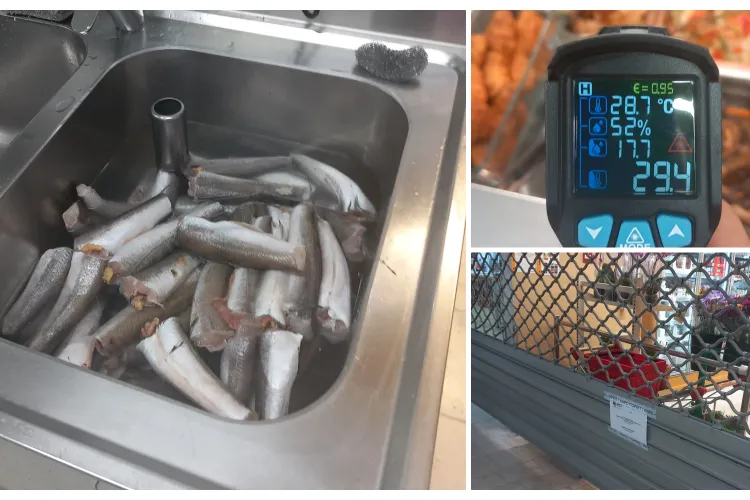 Magazinul Carrefour din Central, amendat și închis de Protecția Consumatorilor Cluj: Greu mai mănânci de acolo, dacă vezi imaginile - FOTO