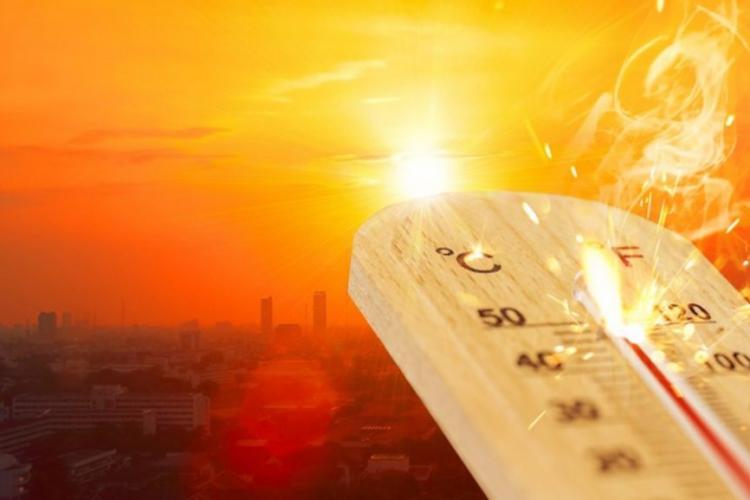 Temperaturi record! Vara lui 2023 a fost cea mai caldă din istorie, la nivel global