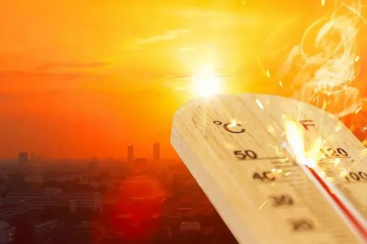 Temperaturi record! Vara lui 2023 a fost cea mai caldă din istorie, la nivel global