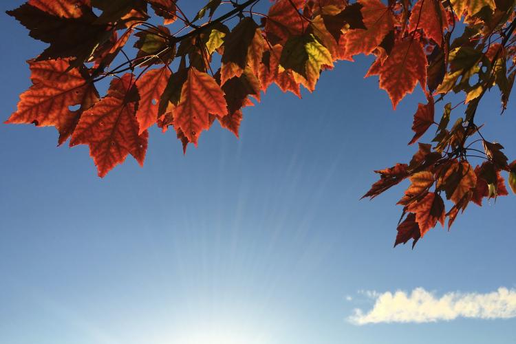 Prognoza meteo pentru luna septembrie. Va fi cald în continuare sau ne pregătim de ploi?