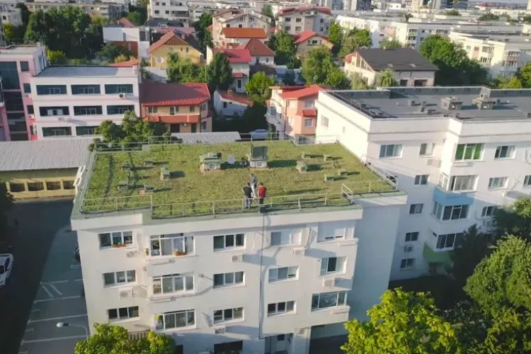 Noi fantezii de la Cluj sau credeți că e realist. Se dau 20 de euro pe mp ca să planteze iarbă pe blocuri