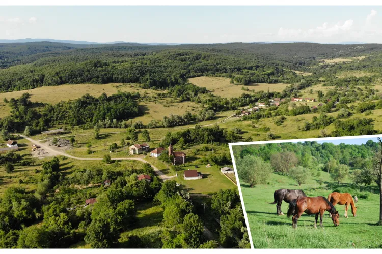Satul din Vestul țării unde mai sunt numai 3 familii, dar s-au adaptat caii sălbatici și vacile dintr-o specie pe cale de dispariție - VIDEO și FOTO