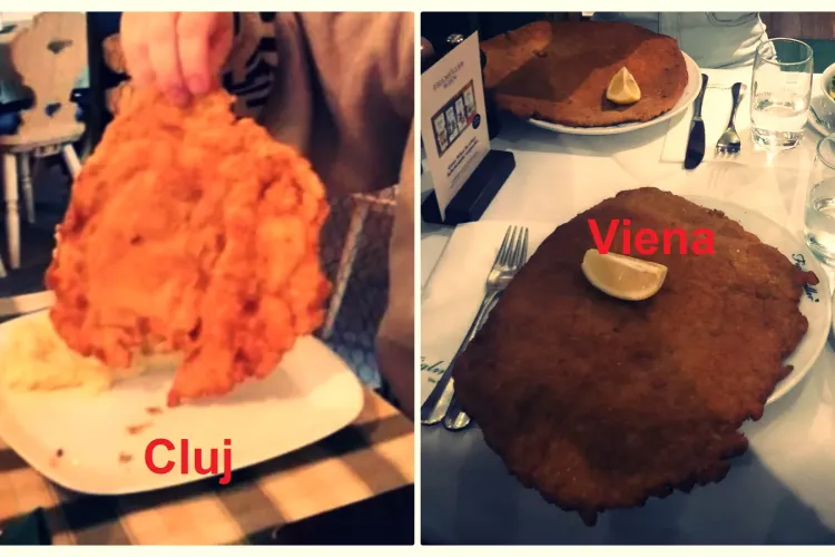 Clujean șocat de șnițelul din Austria: ”E cel mai faimos șnițel din lume. Te simți ca la Cluj-Napoca!” - FOTO