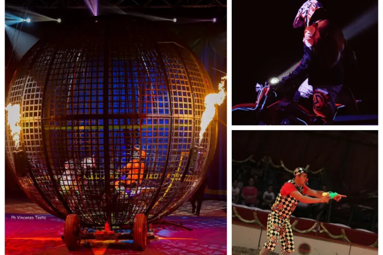 Bucuria celor mici: Circul Internațional revine la Cluj-Napoca cu un spectacol NOU excepțional! Vezi de unde poți cumpăra bilete