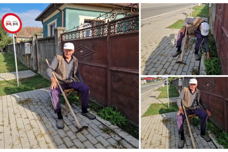 Să învățăm de la bătrânii Clujului: ”Când vrei să ai o proprietate curată, când ai o educație civică, nu mai contează nici măcar vârsta!!” - FOTO