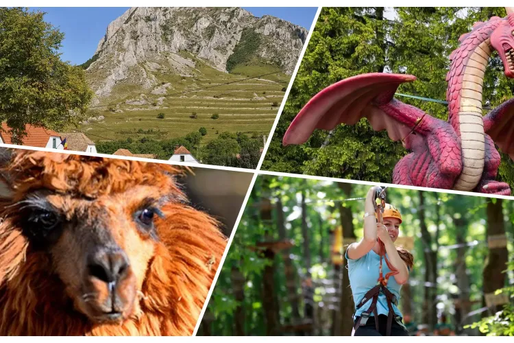 Locuri de vizitat lângă Cluj cu copiii. Destinațiile sunt facile, iar cei mici se vor distra copios