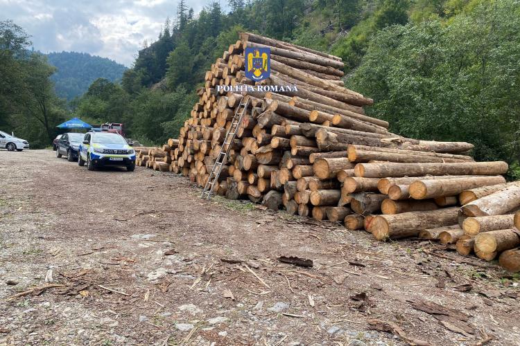 Pădurar arestat la Cluj, pentru că emitea acte false pentru transporturi de lemn