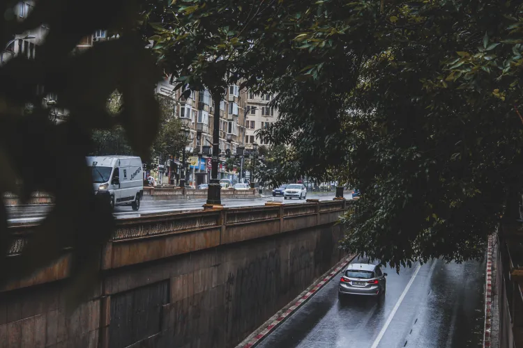 Gest tulburător în Capitală! Un bărbat și-a aruncat câinele de la etajul 5, după ce s-a certat cu soția