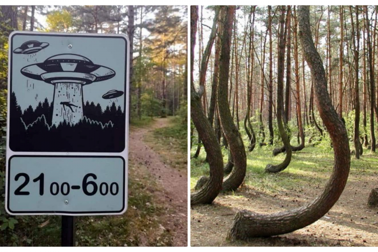 Un clujean a relatat trăirea paranormală, din pădurea Hoia - Baciu: ”Nu mă mai puteam orienta! Spuneam rugăciuni să ies de acolo”