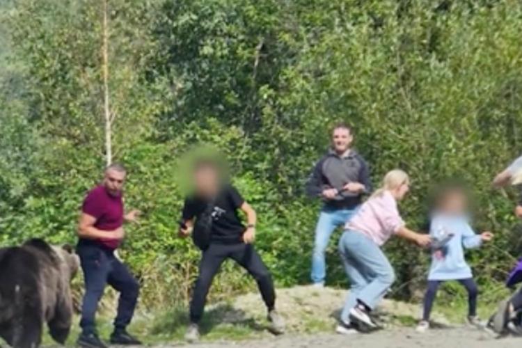 Culmea inconștienței! Un grup de turiști a vrut să facă poză cu ursul pe Transfăgărășan