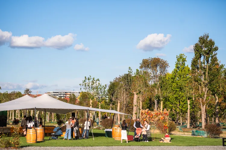 Platforma industrială Carbochim va avea un centru de arte performative, o sală de spectacole și multe spații destinate familiilor - FOTO