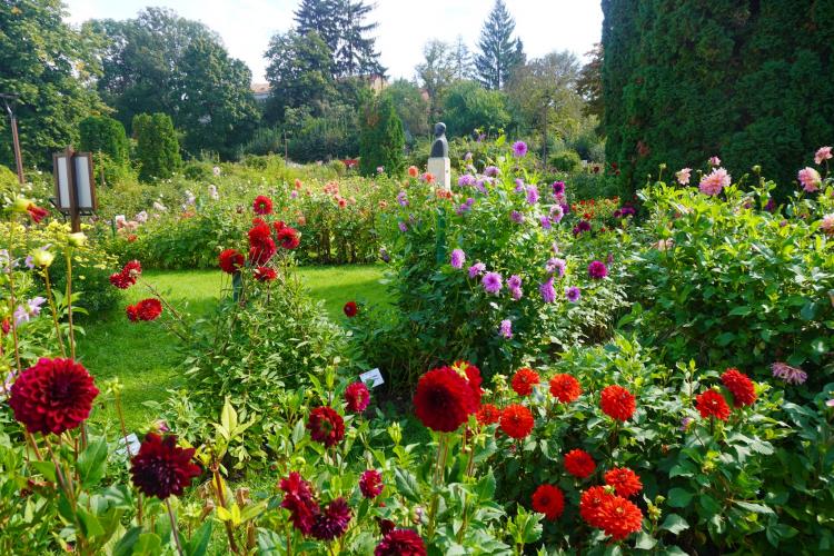 Intrare gratuită pentru seniori la Grădina Botanică din Cluj-Napoca, pe 1 octombrie