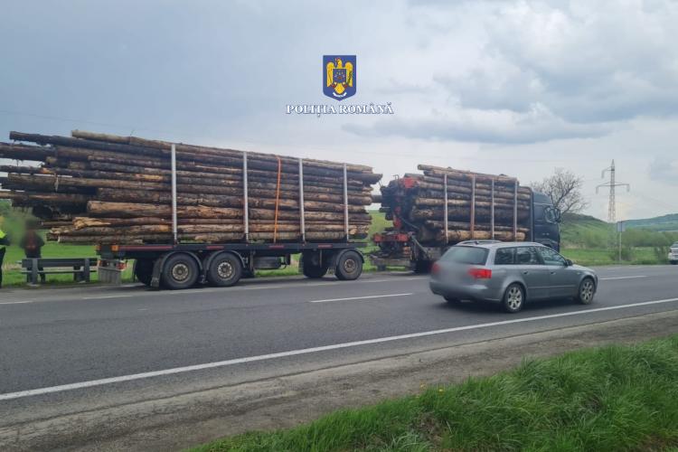 Plâng hoții de lemne din Cluj! Cât lemn furat a fost depistat în trecere prin Huedin în primele nouă luni ale anului - FOTO