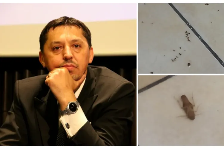 UBB Cluj vrea în top 1000 universități din lume, dar, în cămine, pe studenți îi mănâncă gândacii: ”Efectiv îmi vine să vomit” - VIDEO