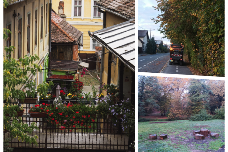 Un turist clujean a explorat dimensiunea verde a Sibiului și are un mesaj pentru Boc: „Poate fi model pentru Cluj, e exemplu de bune practici”
