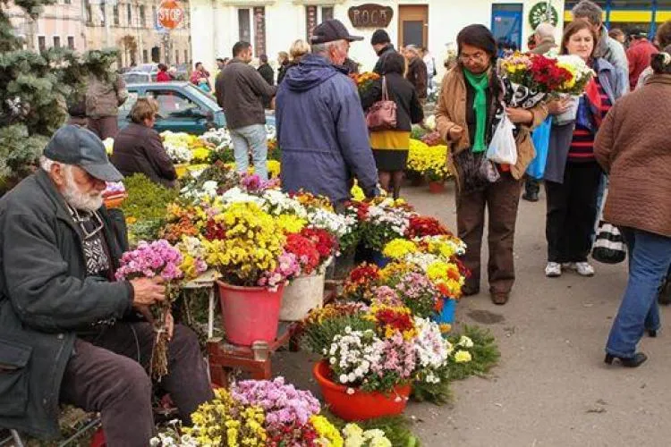 Au fost stabilite locurile unde se vor comercializa flori pentru Luminație, în Cluj-Napoca! Vezi unde vor fi amplasate standurile
