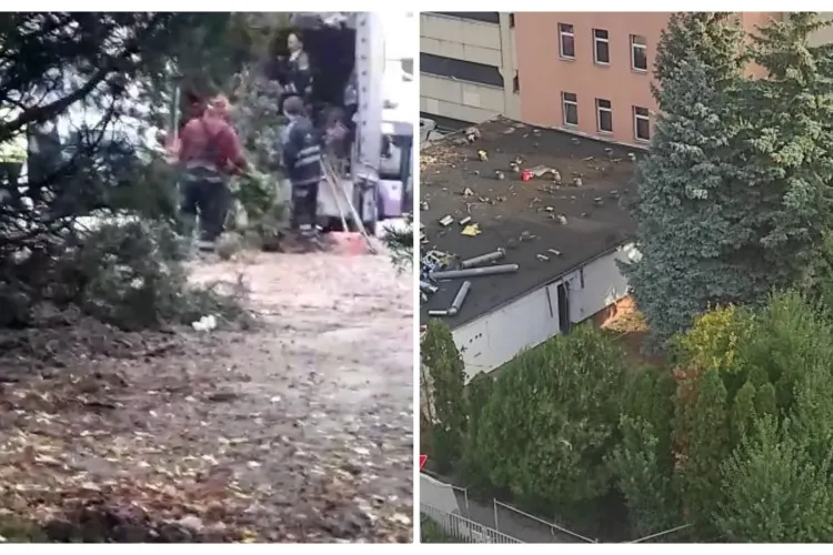Se taie copacii de 25 de ani de la Minerva Mănăștur! Primăria Cluj-Napoca are o plăcere din a tăia arborii - VIDEO