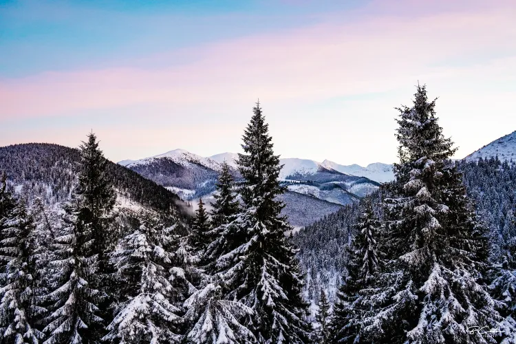 Destinaţia superbă preferată de români pentru petrecerea Revelionului 2024. Prețurile variază între 2.700 şi 7.000 lei în acest an