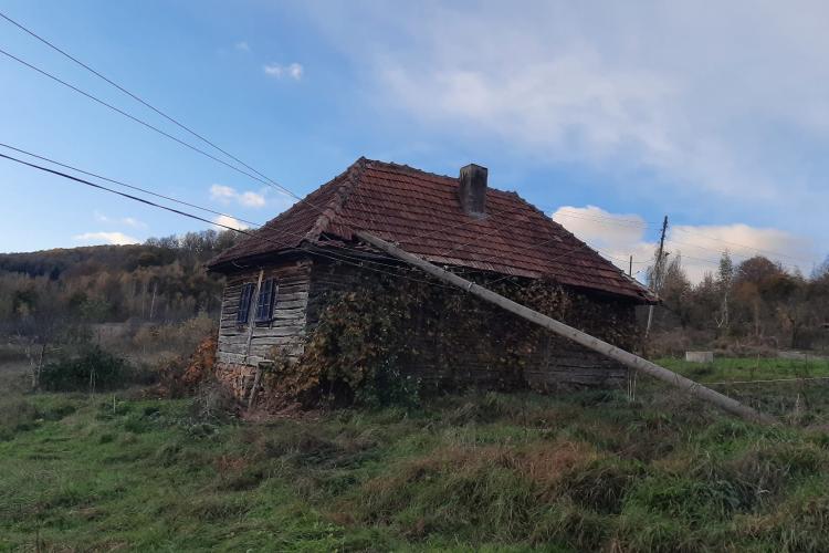 Vântul puternic a făcut ravagii în Cluj! Un copac și un stâlp au căzut peste două locuințe - VIDEO