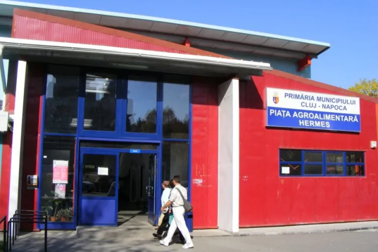 Gândacii de bucătărie au invadat piața Hermes: ”Numai privații pot fi amendați, Primăria nu?”