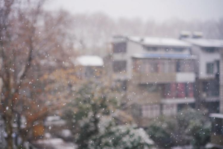 Meteorologii anunță o iarnă cu ninsori abundente și ger! Când ninge în România 