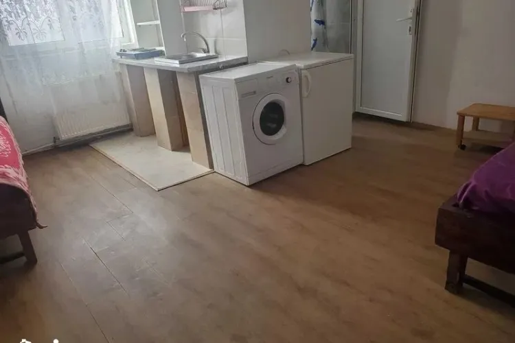 Chirie halucinantă în Cluj: ”Nu primim animale și copii” / ”Adică nu ținem trântori gestanți. A scris ”Copi”. Văleleu de capul meu!” - FOTO