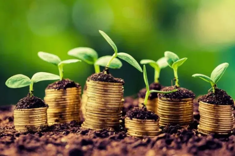 Fostul ministru al Agriculturii, senatorul Adrian Oros, acuză haosul din sistem: ”Fermierii nu știu cât și când vor primi subvențiile!”