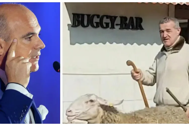 Mesajul lui Rareş Bogdan către vecinul Gigi Becali: ”Bă, Gigi, mută oile, că sunt spre dormitorul meu!”