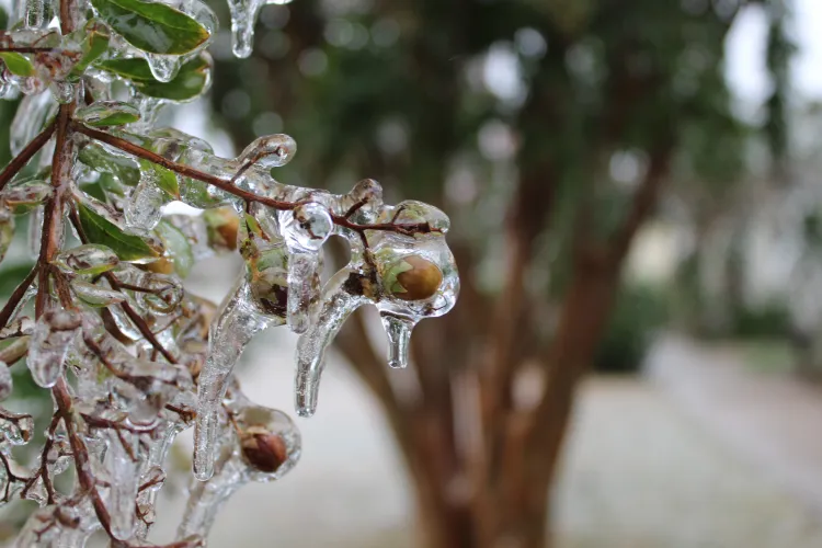 Administrația Națională de Meteorologie anunță o răcire puternică și bruscă a vremii! Zonele unde va cădea lapoviță și ninsoare