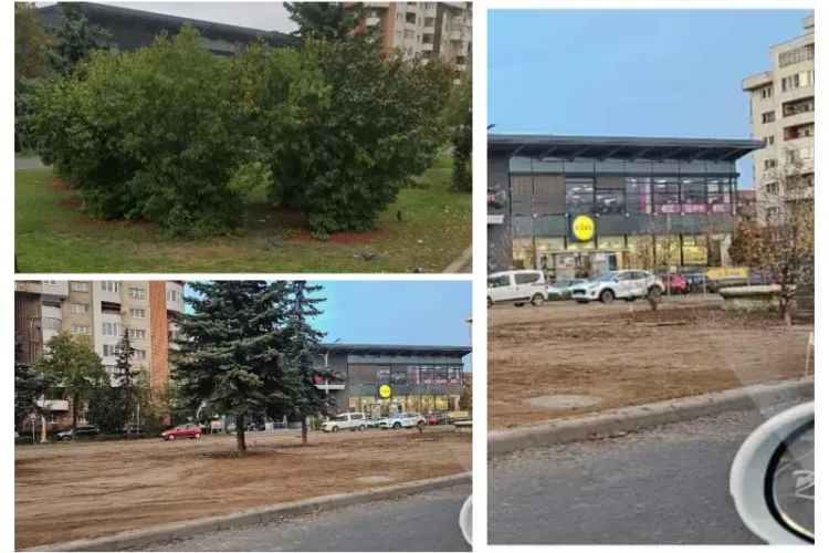 Verdeața din spatele Bisericii „Sf. Apostoli Petru şi Pavel” din Mărăști a dispărut: „Pregătește oare Boc o gazonare sau betonare?”