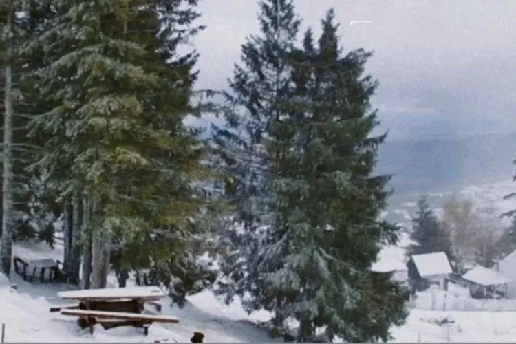  VIDEO. A nins ca în povești la Vlădeasa! Iarna își intră în drepturi în zona de munte a Clujului