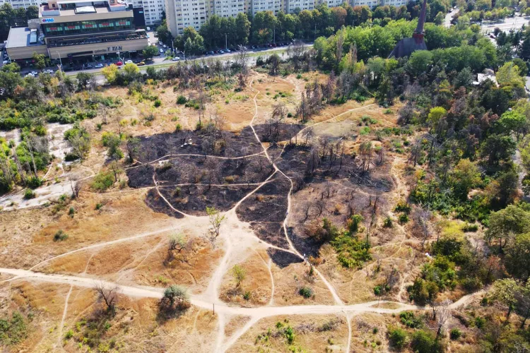 Un român care a distrus un spațiu verde a fost amendat cu 35 de milioane de euro. Deci se poate!