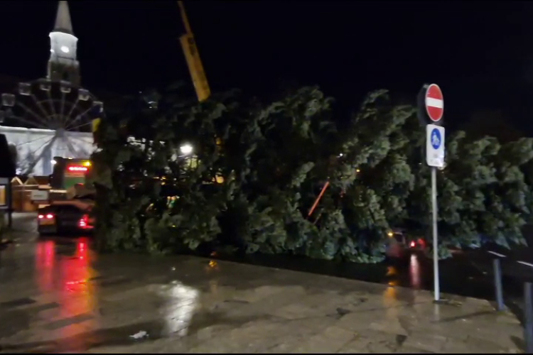 Bradul de Crăciun a ajuns în Piața Unirii, din Cluj-Napoca - VIDEO