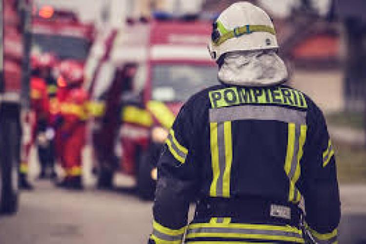 Explozie la o garsonieră din Cluj-Napoca. Au murit cinci căței 