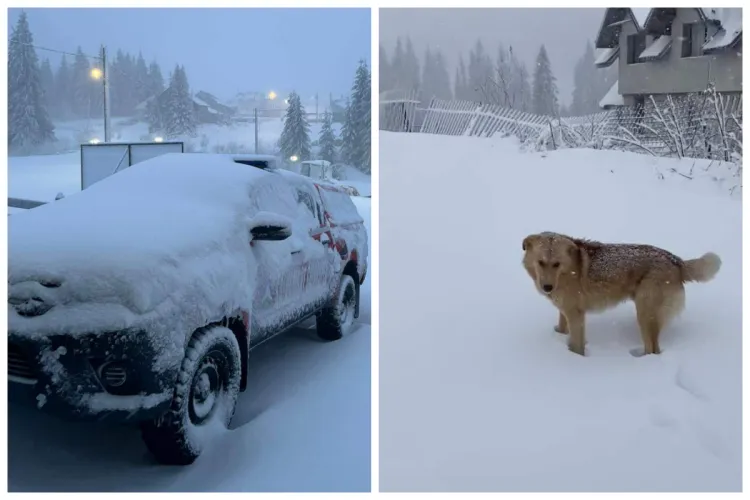 Patru turiști din Cluj, blocaţi în staţiunea Padiş după ce a nins toată noaptea