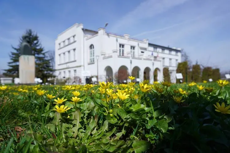 Grădina Botanică din Cluj redeschide zona destinată persoanelor cu deficiențe de vedere. Locul a fost renovat și modernizat 