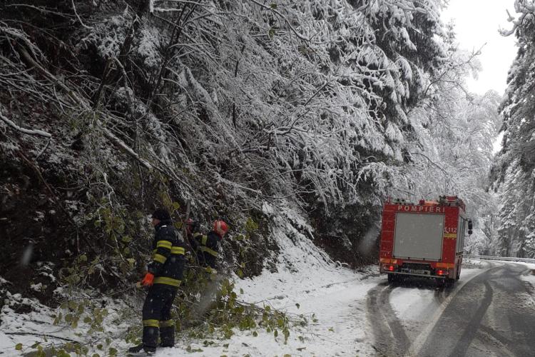 Iarna și-a intrat în drepturi la Cluj! Pompierii au intervenit pentru a înlătura arborii căzuți pe drumuri - FOTO