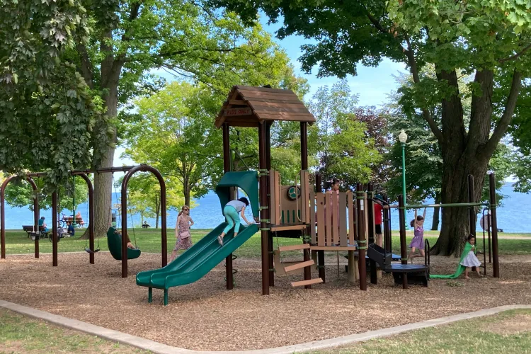 Proiect de lege: Echipamente destinate copiilor cu dizabilități în parcuri și locuri de joacă 