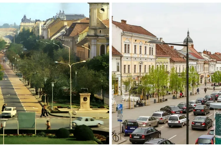 Clujul verde din anii 70! În ”Epoca de Aur” s-a plantat și îngrijit, dar acum trăim în ”Epoca betoanelor” - FOTO