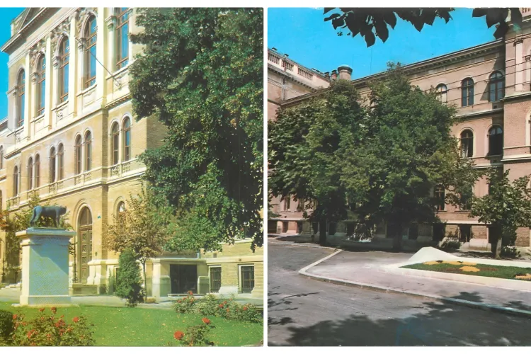 Imagini dintr-o altă lume! Strada Kogălniceanu cu verdeață și statui foarte dragi clujenilor - FOTO